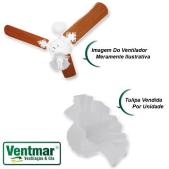 GLOBO CUPULA TULIPA PLASTICA FLOR CARACOL TRANSPARENTE P/VENTILADOR DE TETO CICLONE / VENTI-DELTA - ENCAIXE EM SOQUETE 5,50CM APROX...